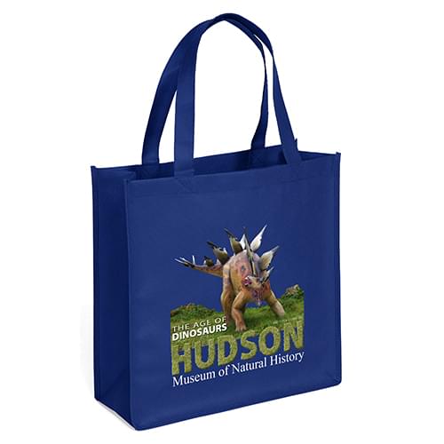 Recyclable Grocery Shopper Tote Bags