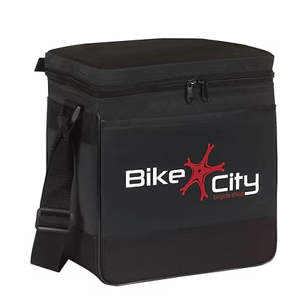 Outdoor 12-Pack Cooler