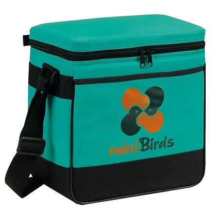 Outdoor 12-Pack Cooler