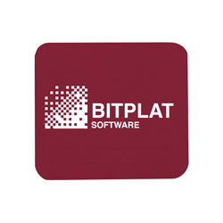 The Dolphin Business Briefcase