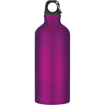 20 Oz. Aluminum Bike Bottle