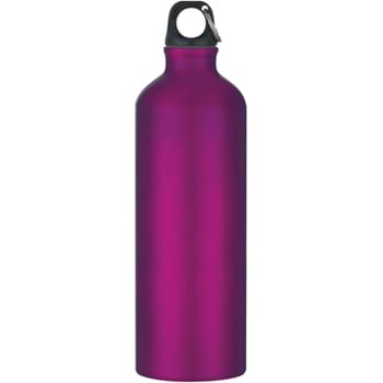 25 Oz. Aluminum Bike Bottle