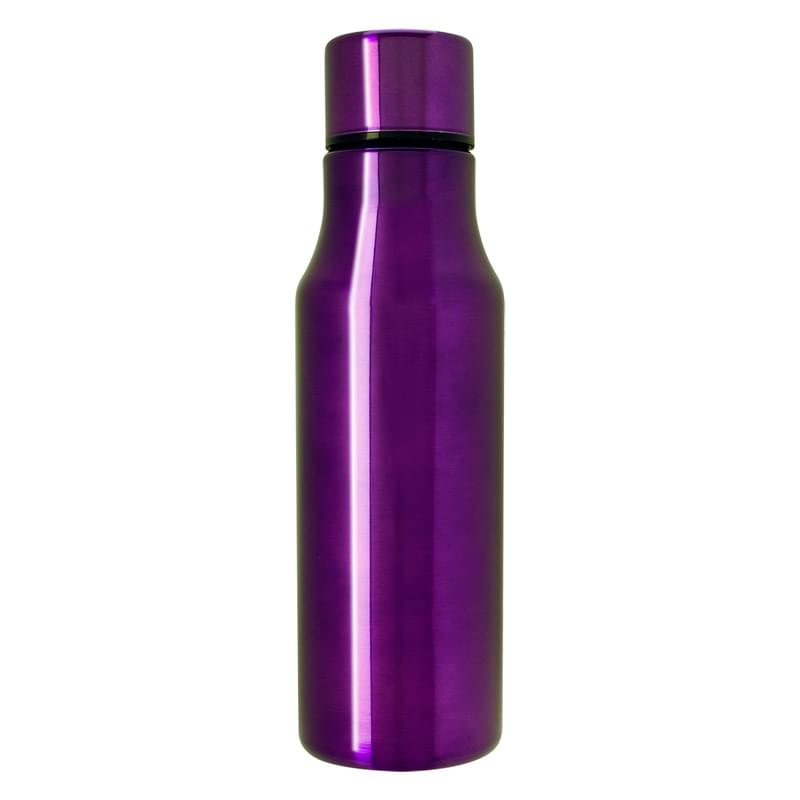 24 Oz. Stainless Steel Bottle