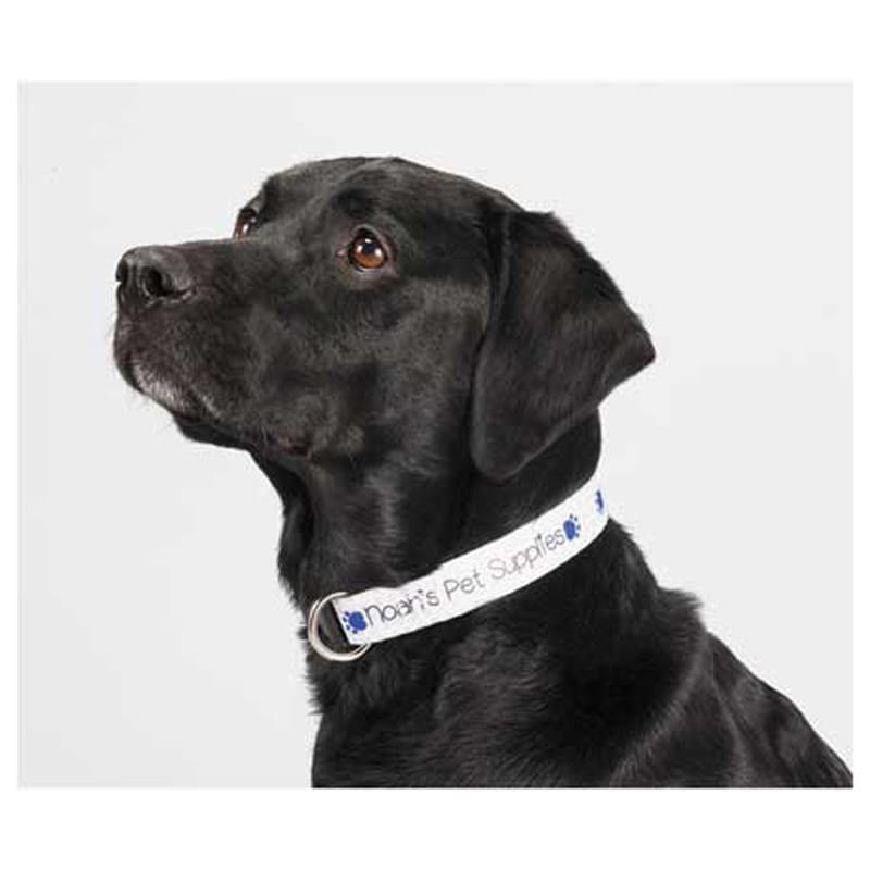 Full Color Pet Collar - 1"W x 20"L