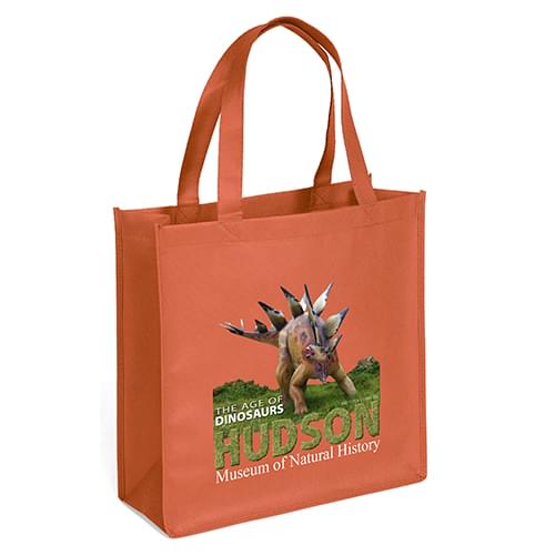 Recyclable Grocery Shopper Tote Bags