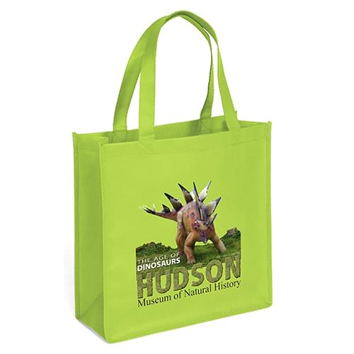 Recyclable Grocery Shopper Tote Bags