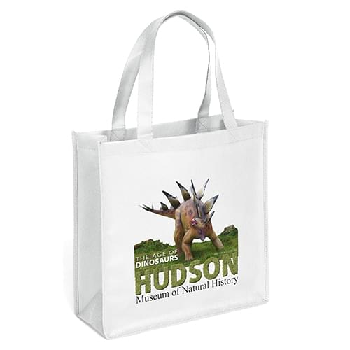 Recyclable Grocery Shopper Tote Bags