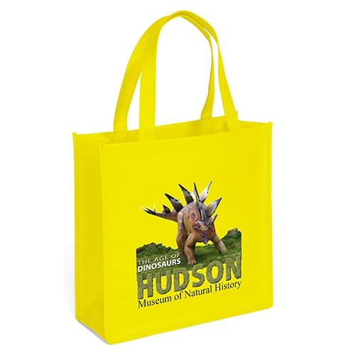 Recyclable Grocery Shopper Tote Bags