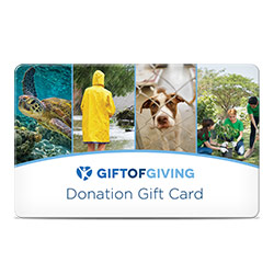 Gift of Giving - $10 Donation - Companies of all sizes are becoming more socially conscious by engaging in philanthropic causes. This feel-good reward gives recipients the opportunity to give a donation of $10 to projects that matter most to them, courtesy of your brand. A Gift of Giving card allows recipients to support a project they are passionate about, reminding us all that the gifts that truly keep on giving are the ones that allow people to help others. Easy to use - visit the website provided, enter the reward code, and select one