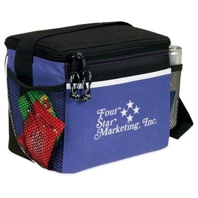 Spectrum Frosted Insulated 6 Pack Cooler